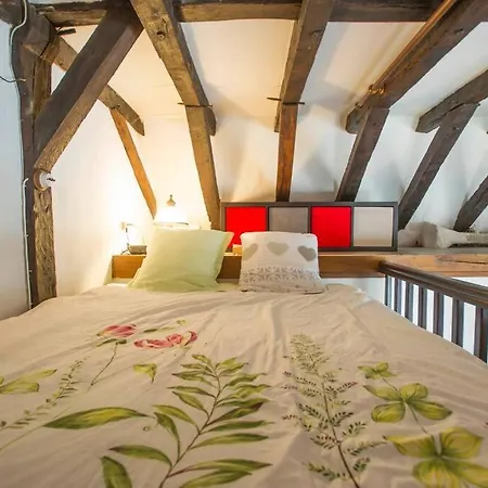 Appartement De Caractere Au Coeur Du Vieux
