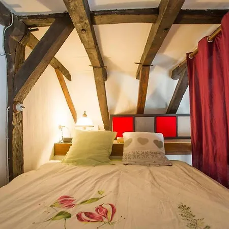 Apartman De Caractere Au Coeur Du Vieux